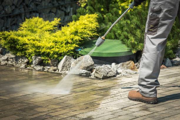 Best Driveway Pressure Washing  in Tool, TX